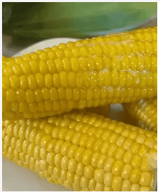 Corn on the Cob
